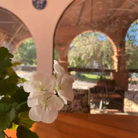 Casa Rural El Paraiso I * Бурго-де-Осма